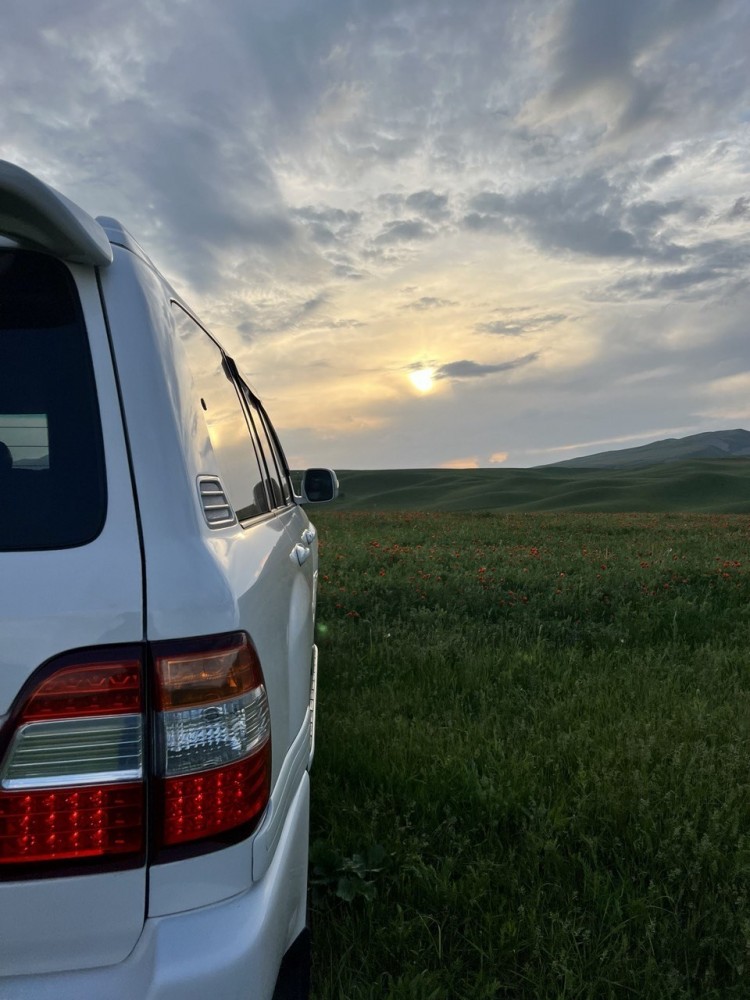 Toyota Landcruiser 100-4