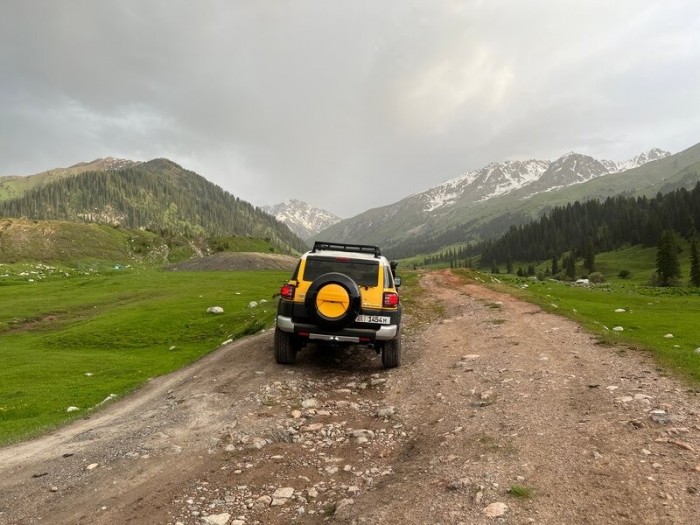Toyota FJ-Cruiser Yellow-4