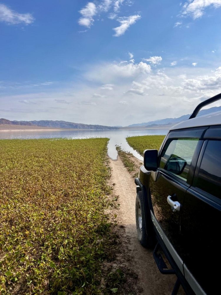 Toyota FJ-Cruiser Black-6