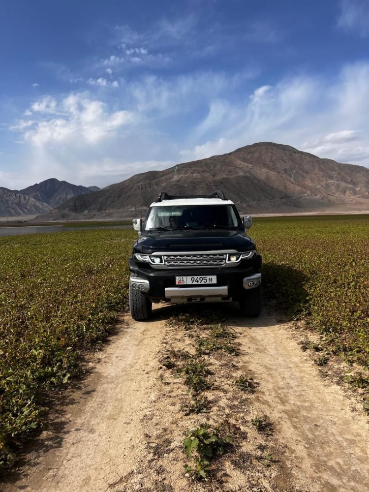Toyota FJ-Cruiser Black-5