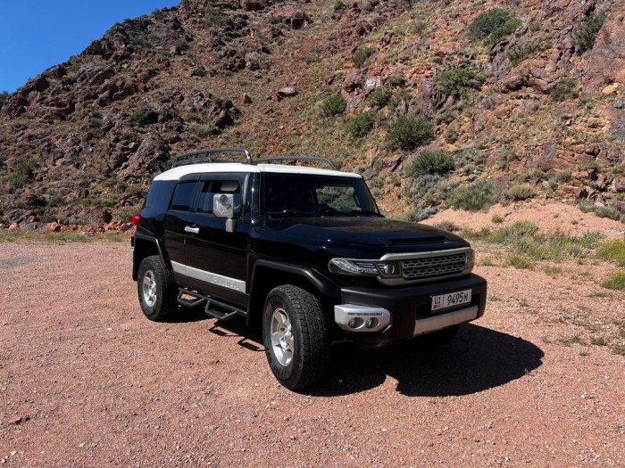 Toyota FJ-Cruiser Black-2