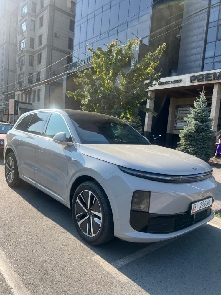 Li 6 PRO 2025-2