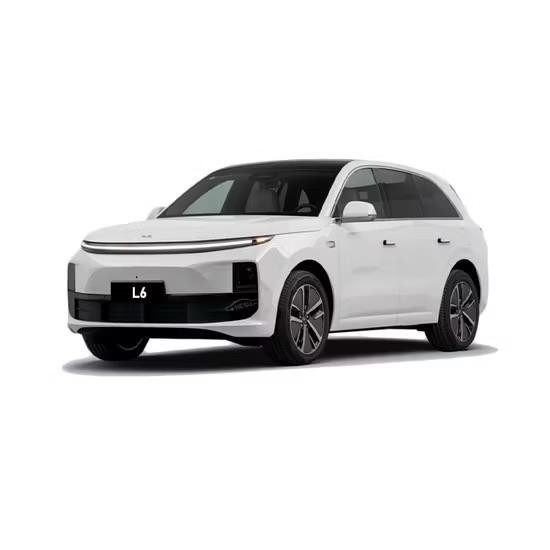 Li 6 PRO 2025