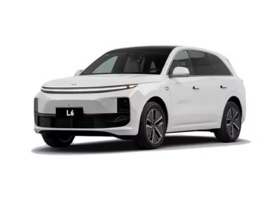 Li 6 PRO 2025