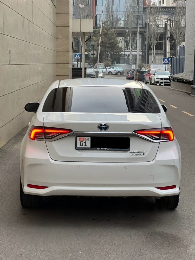 Toyota Corolla-3